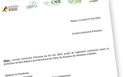 Projet de règlement communal visant la protection du Bois Robiet à Sart-Bernard et du Vallon du Ruisseau de Vôvesène à Maillen.