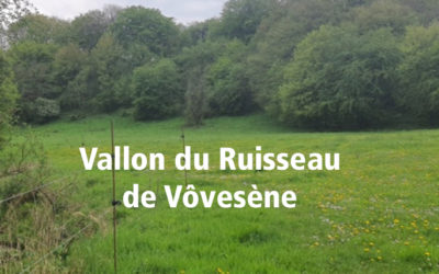 SIX ASSOCIATIONS S’UNISSENT AVEC LA COMMUNE D’ASSESSE  POUR FAIRE AVANCER LE DROIT ENVIRONNEMENTAL WALLON